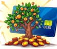 Haz Crecer tu Crédito: Beneficios a Largo Plazo de tu Tarjeta