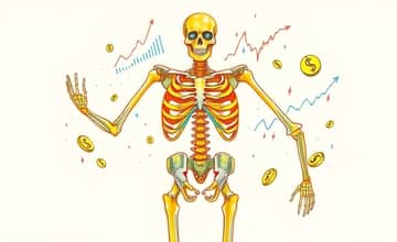 El Esqueleto de tus Finanzas: Construye una Estructura Sólida