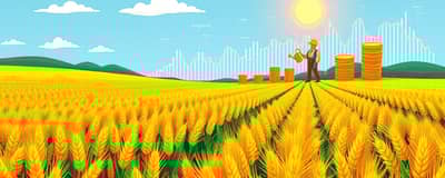 Sembrando Riqueza: Consejos para una Cosecha Financiera Abundante