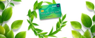Tarjetas Verdes: Un Paso Hacia Finanzas Sostenibles
